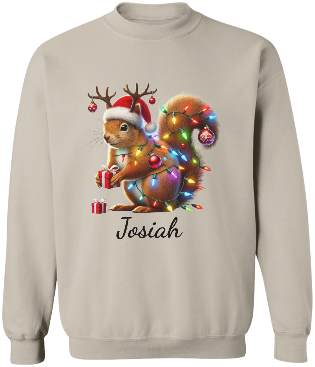 Personalized Christmas Squirrel Lights Sweatshirt | T-shirt | Christmas Trend Tee