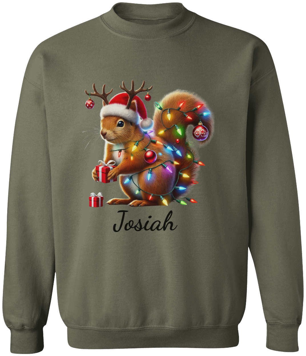 Personalized Christmas Squirrel Lights Sweatshirt | T-shirt | Christmas Trend Tee