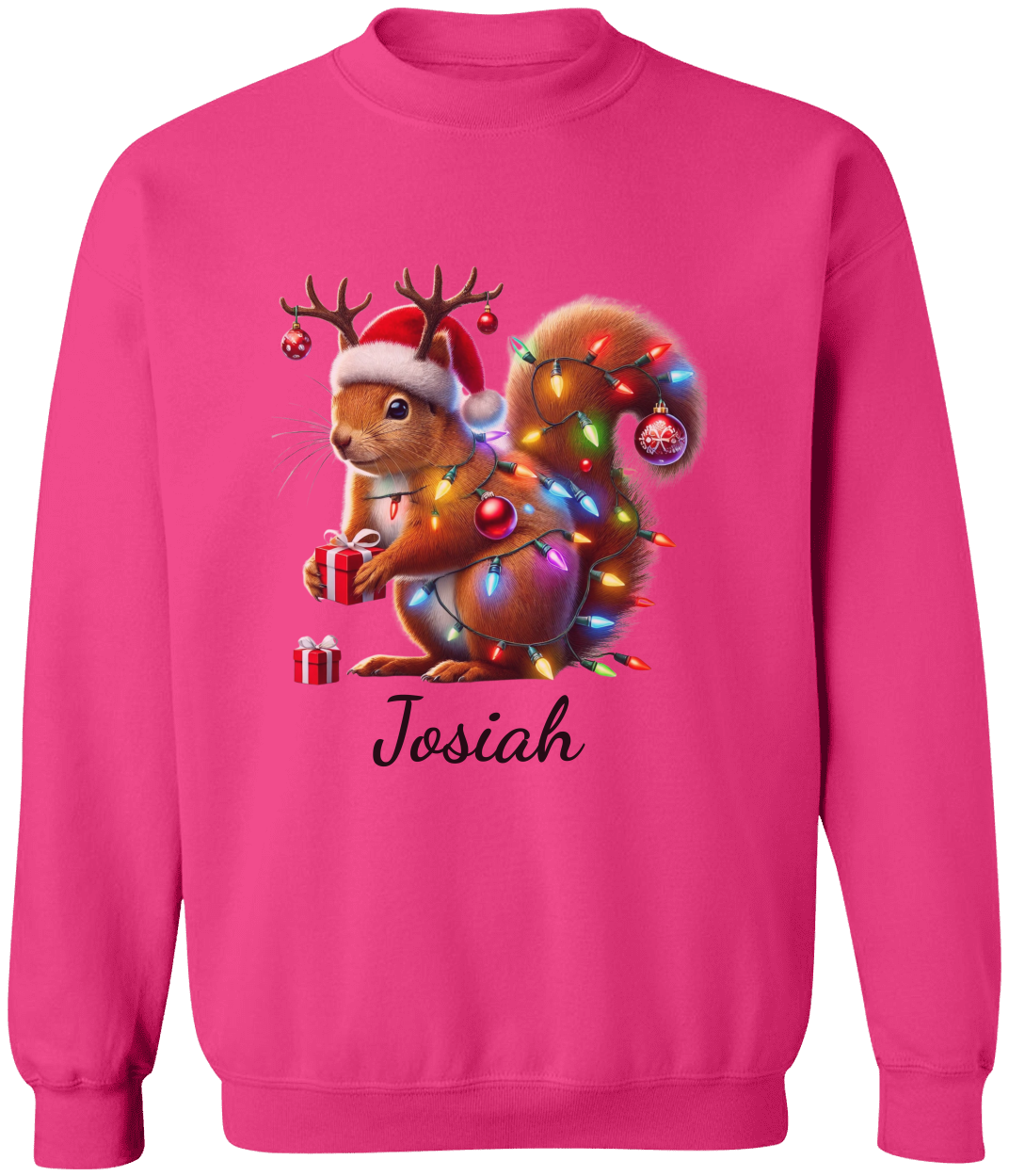 Personalized Christmas Squirrel Lights Sweatshirt | T-shirt | Christmas Trend Tee