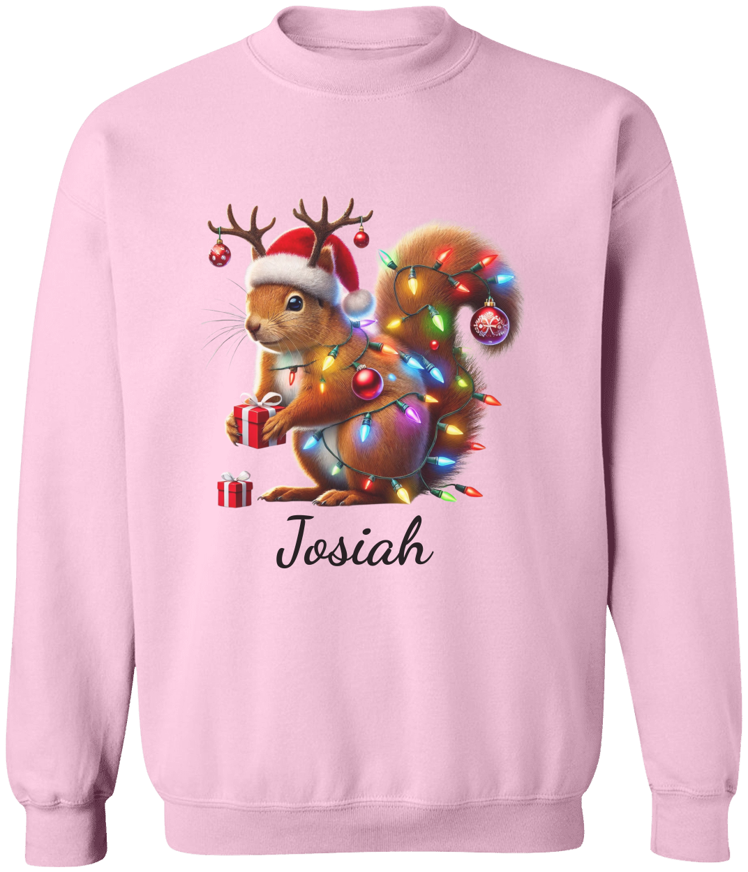 Personalized Christmas Squirrel Lights Sweatshirt | T-shirt | Christmas Trend Tee