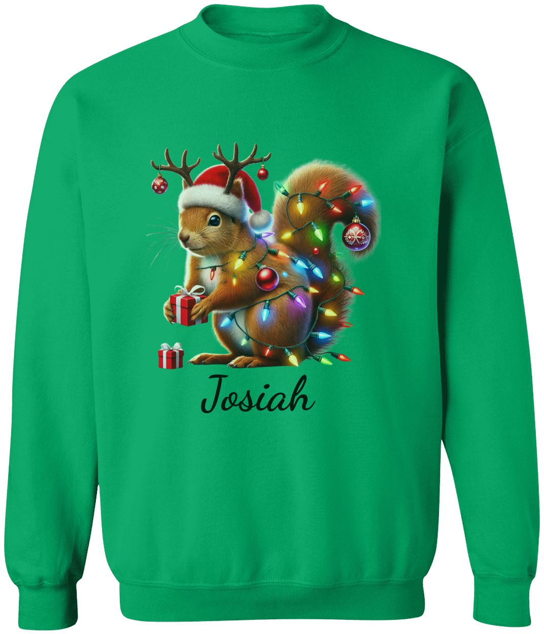 Personalized Christmas Squirrel Lights Sweatshirt | T-shirt | Christmas Trend Tee