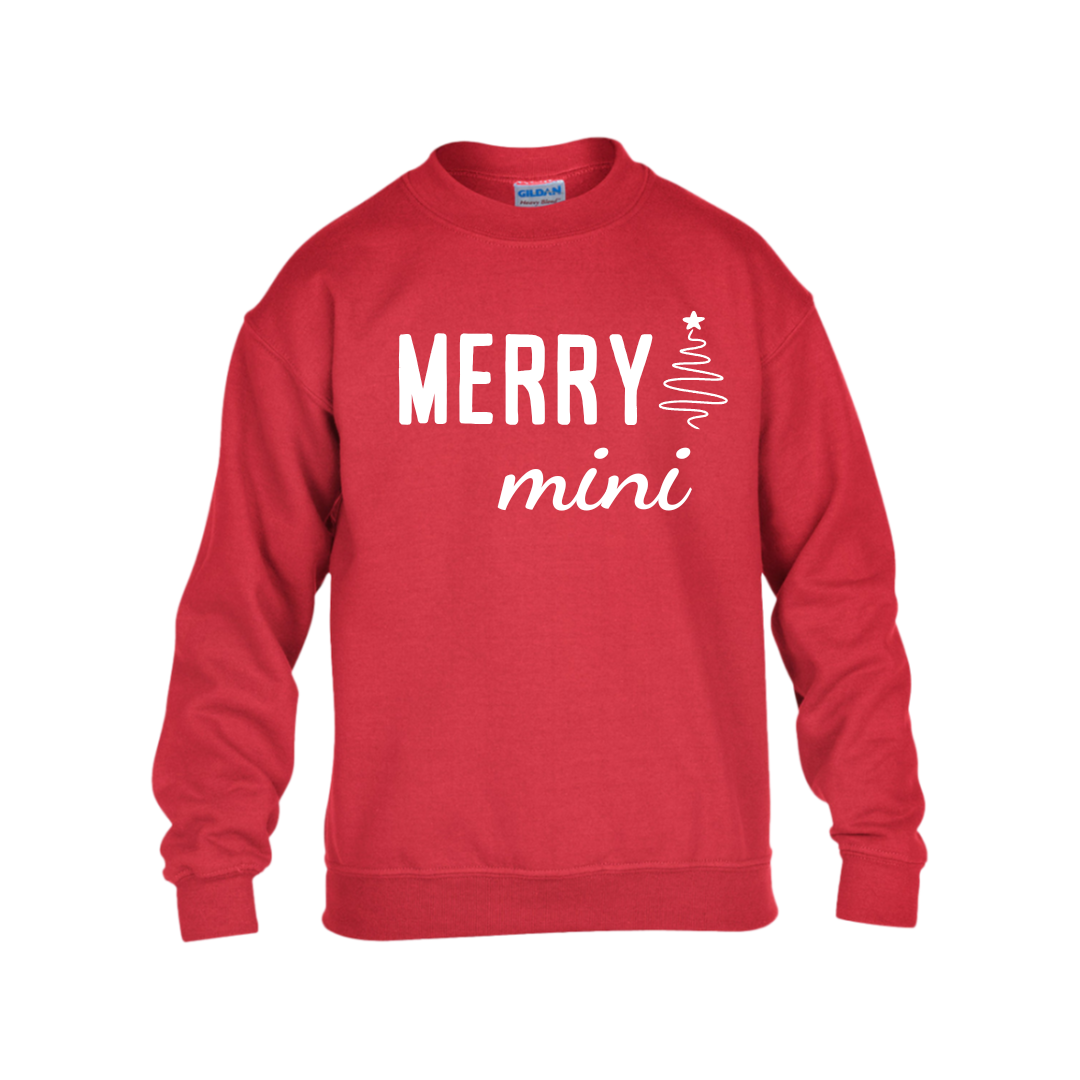 Personalized Merry T- Shirt and Sweatshirt For Family | Christmas Matching Family Pajamas