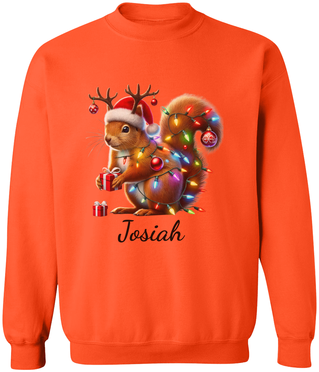 Personalized Christmas Squirrel Lights Sweatshirt | T-shirt | Christmas Trend Tee